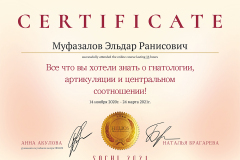 Сертификат Брагарева - шаблон.cdr